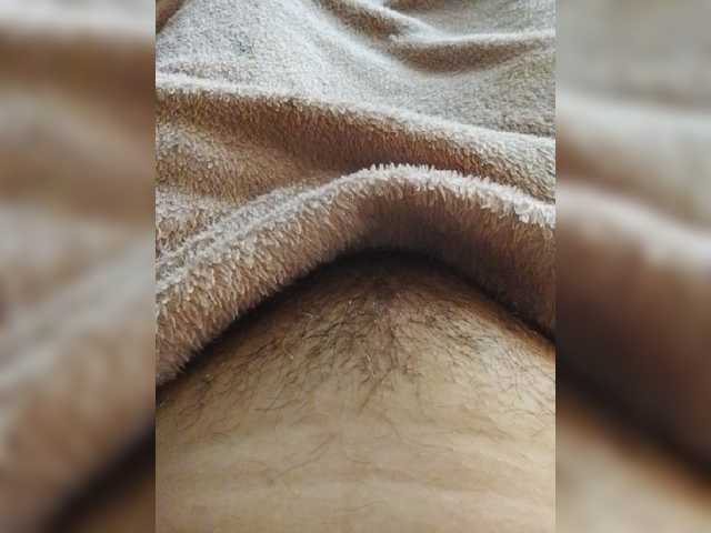 bulochka733