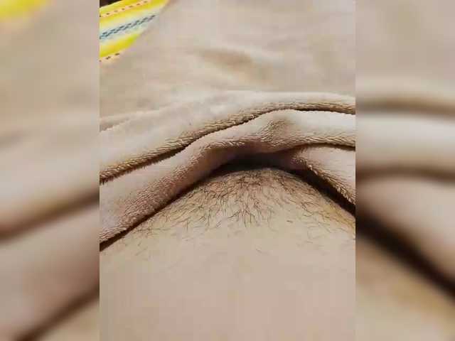 bulochka733 live cam on BongaCams