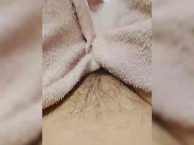 bulochka733 bulochka733