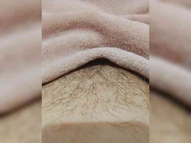 bulochka733 webcam