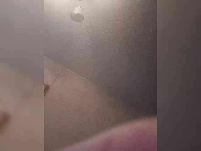 bulochka733 webcam