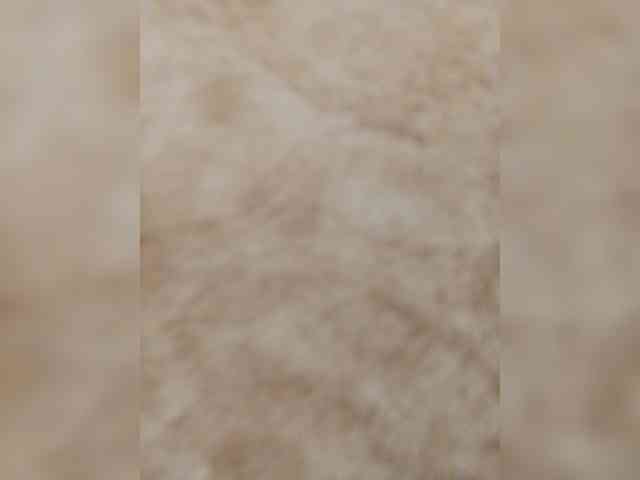 bulochka733 Sex Cam Show