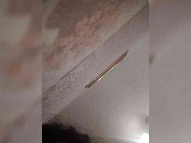bulochka733 Sex Cam Show