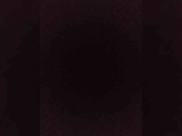 bulochka733 webcam