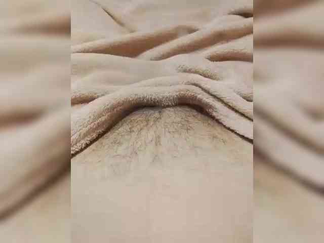 bulochka733 webcam
