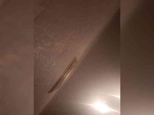 bulochka733 webcam