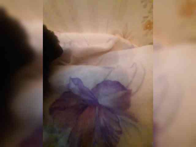 bulochka733 webcam