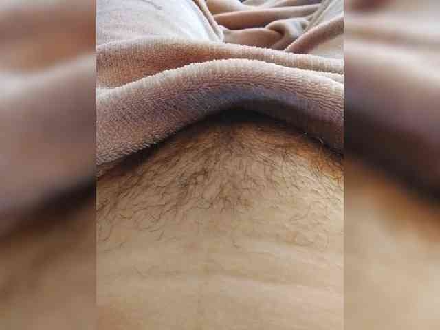 bulochka733 webcam