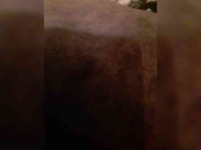 bulochka733 webcam