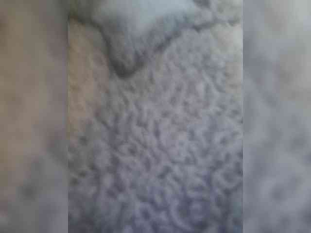 bulochka733 webcam