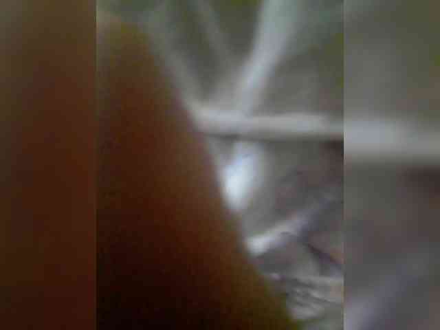 bulochka733 webcam