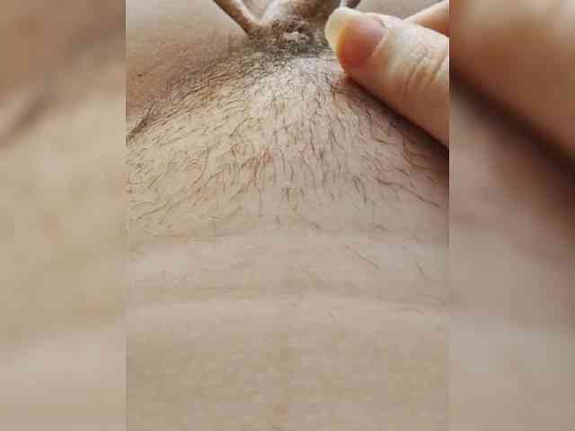 bulochka733