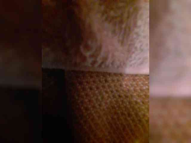 bulochka733 webcam