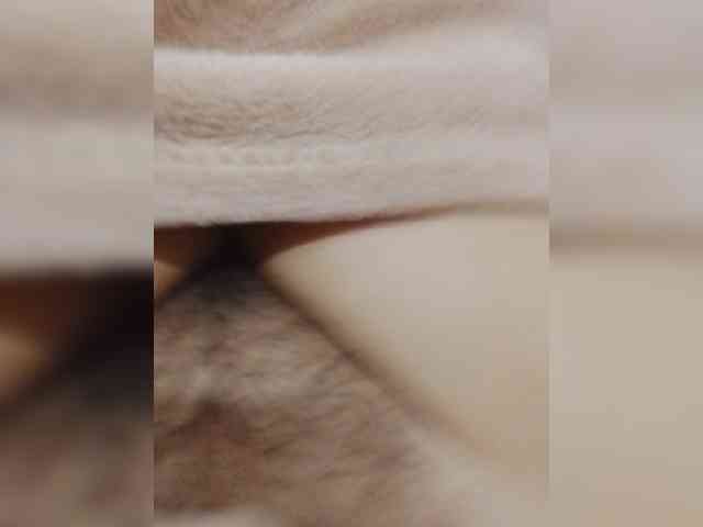 bulochka733 webcam
