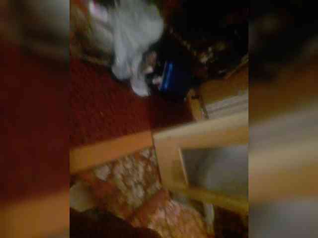 bulochka733 webcam