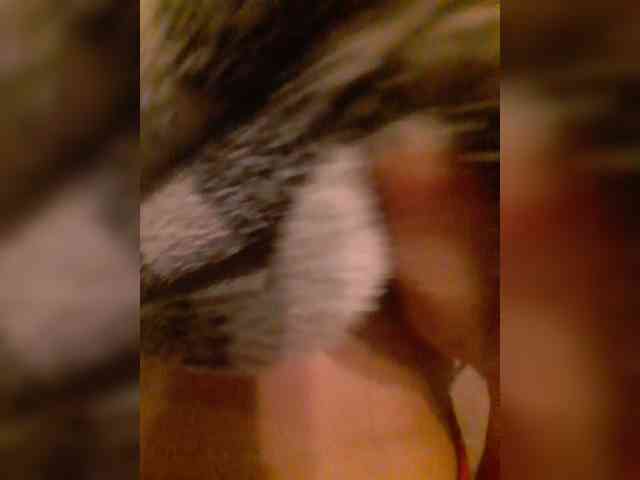 bulochka733 webcam