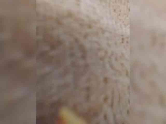 bulochka733 webcam