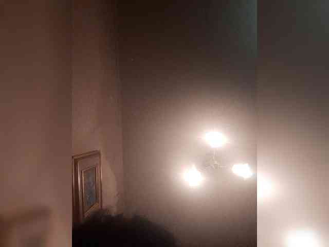 bulochka733 webcam