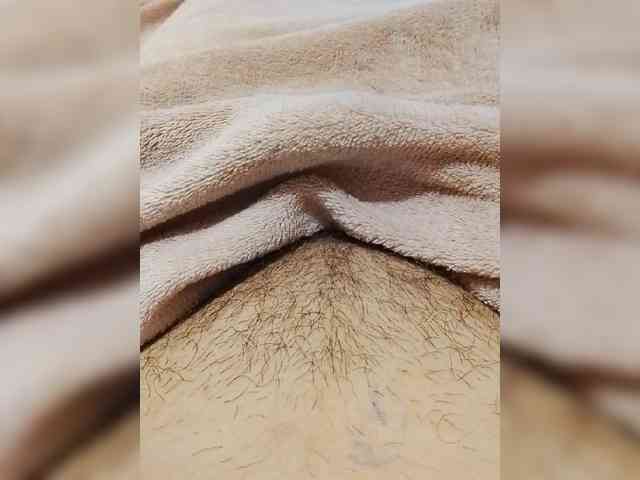 bulochka733 webcam