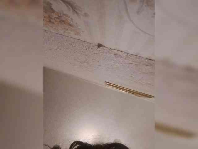 bulochka733 Sex Cam Show