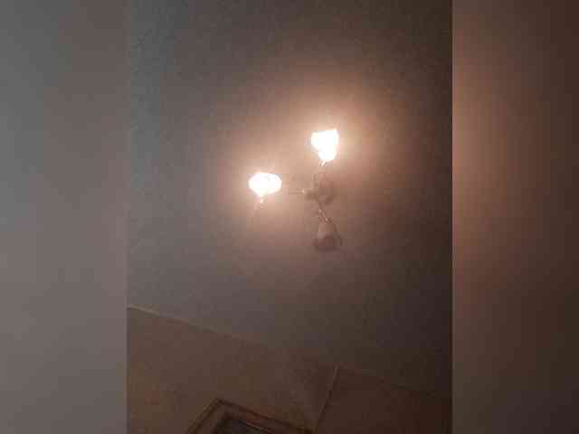 bulochka733 webcam