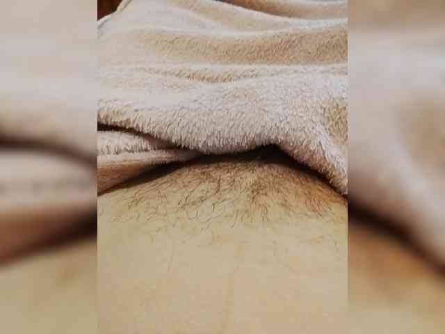 bulochka733 webcam