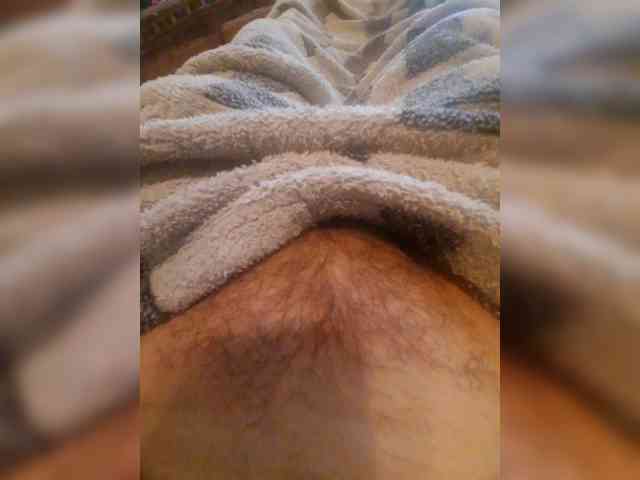 bulochka733 webcam