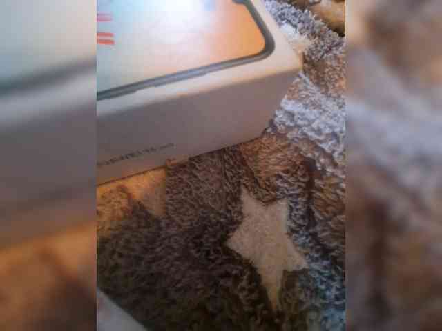 bulochka733 webcam
