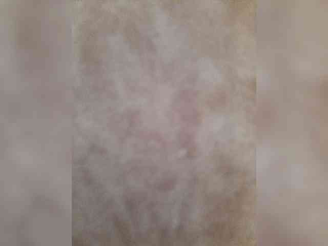 bulochka733 webcam