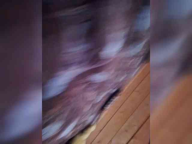 bulochka733 webcam