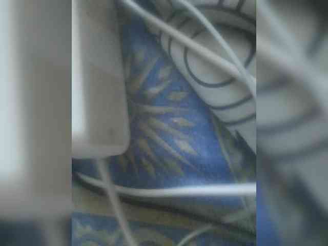 bulochka733 webcam