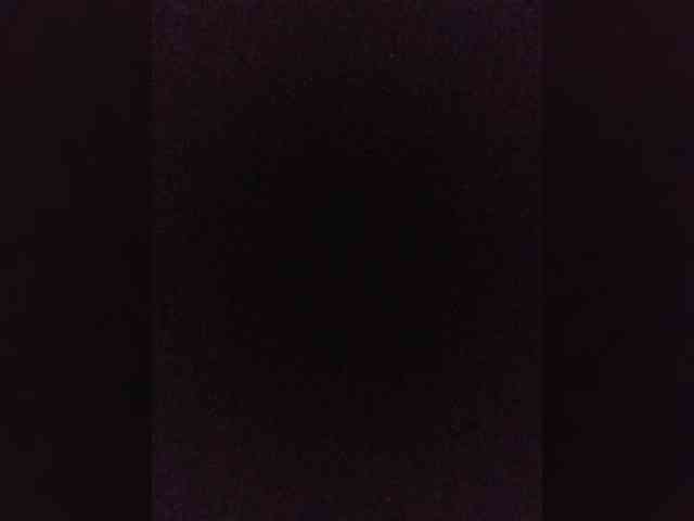 bulochka733 webcam
