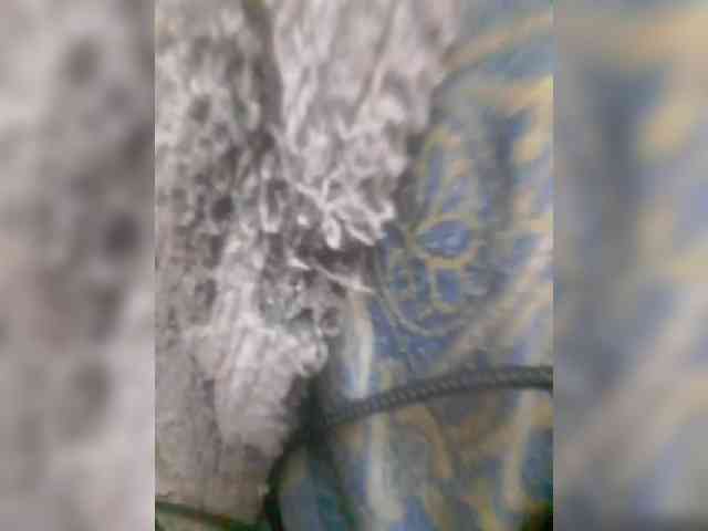 bulochka733 webcam