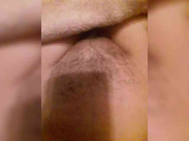 bulochka733 bulochka733