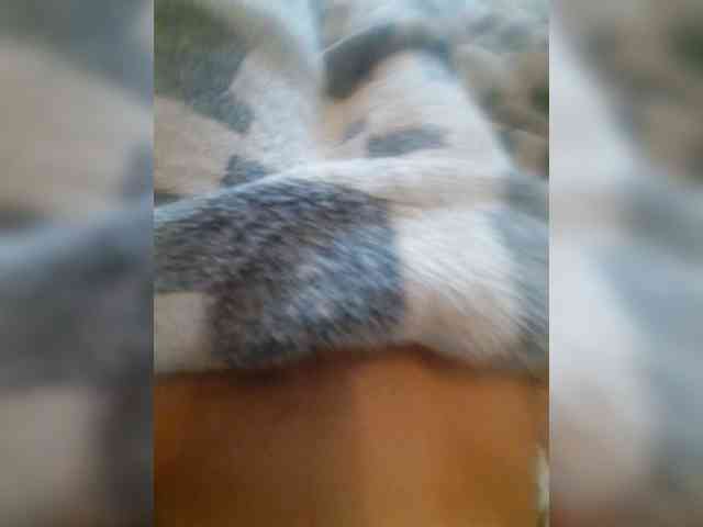bulochka733 webcam