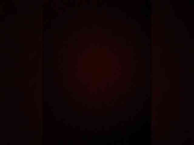 bulochka733 webcam