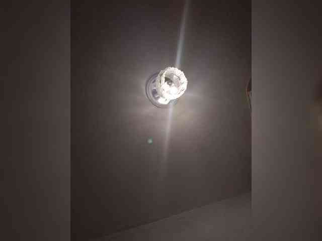 bulochka733 webcam