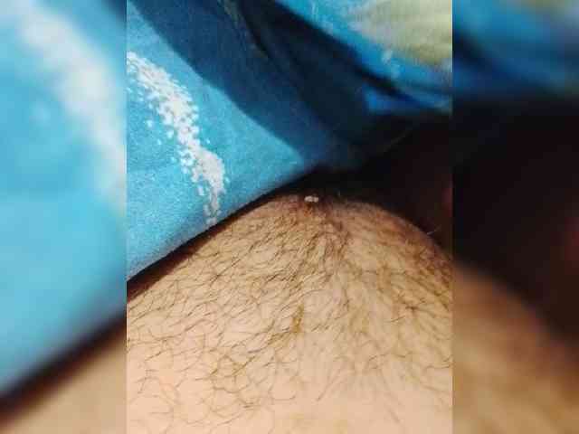bulochka733 Sex Cam Show