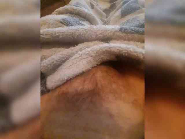 bulochka733 webcam