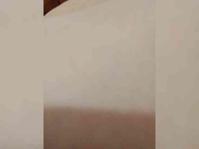 bulochka733 webcam