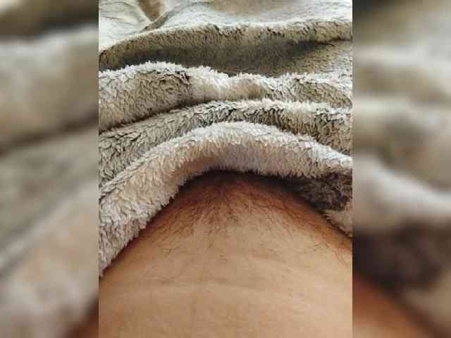 bulochka733 webcam