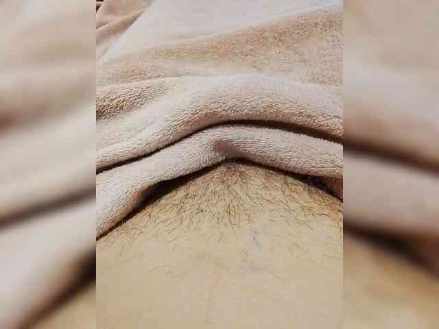bulochka733 webcam