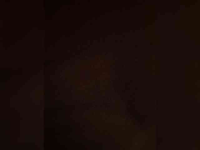 bulochka733 webcam