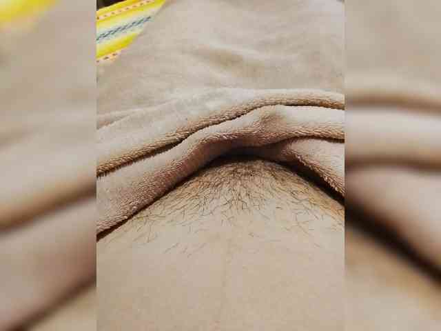 bulochka733 webcam