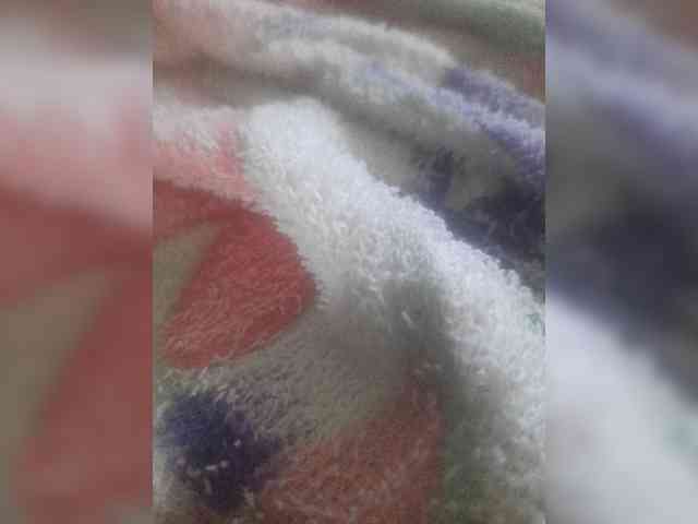 bulochka733 webcam