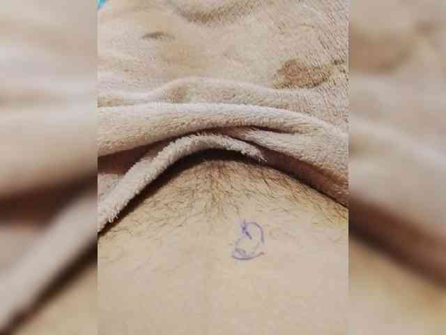 bulochka733 webcam