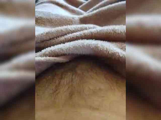 bulochka733 webcam