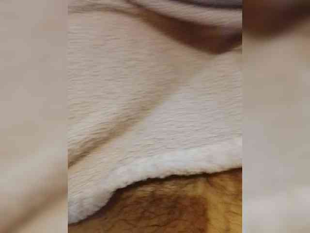 bulochka733 webcam