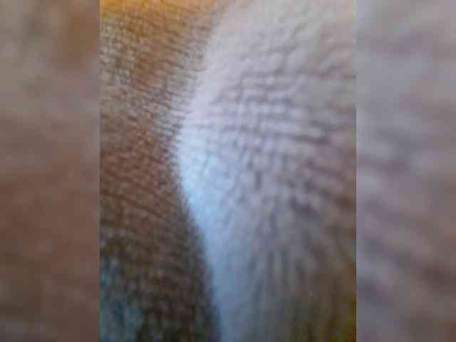 bulochka733 webcam