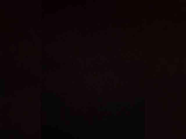 bulochka733 webcam
